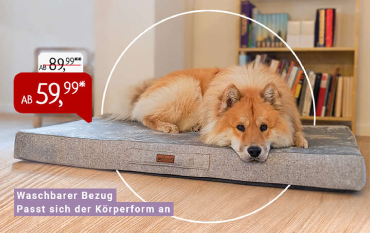 petlando orthopädisches Hundekissen